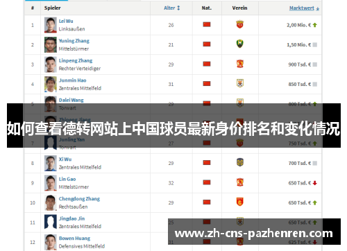 如何查看德转网站上中国球员最新身价排名和变化情况 如何查看德转网站上中国球员最新身价排名和变化情况