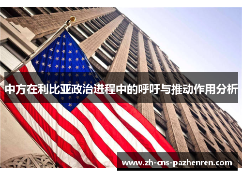 中方在利比亚政治进程中的呼吁与推动作用分析