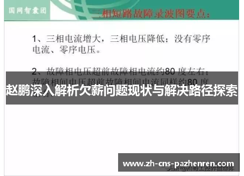 赵鹏深入解析欠薪问题现状与解决路径探索 赵鹏深入解析欠薪问题现状与解决路径探索