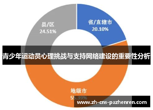 青少年运动员心理挑战与支持网络建设的重要性分析