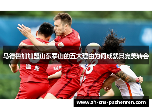 马德鲁加加盟山东泰山的五大理由为何成就其完美转会