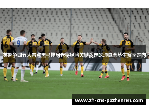 英超争四五大看点黑马搅局老将经验关键战定乾坤悬念丛生赛季走向 英超争四五大看点黑马搅局老将经验关键战定乾坤悬念丛生赛季走向